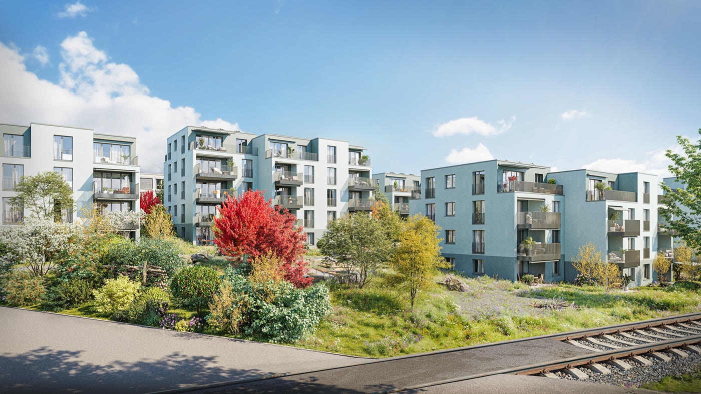 Projekt Vista, Oberhasli